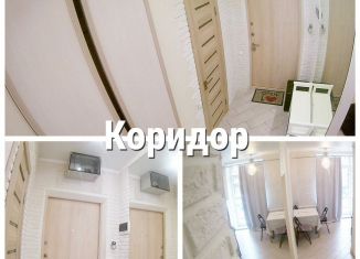 Аренда 1-комнатной квартиры, 33 м2, Химки, Набережный проезд, 22