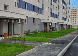 Продам двухкомнатную квартиру, 45 м2, посёлок Шушары, Московское шоссе, 256к2, ЖК Вариант