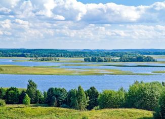 Продам участок, 37.1 сот., деревня Мари-Луговая, Мари-Луговая улица