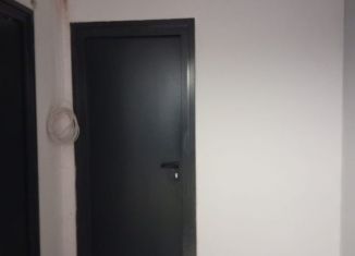 Продажа двухкомнатной квартиры, 50 м2, посёлок Шушары, Московское шоссе, 256к1, ЖК Вариант