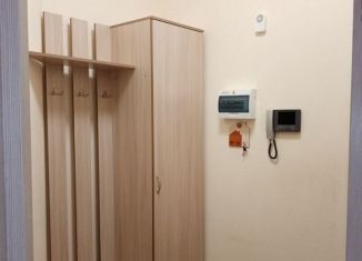 Сдача в аренду квартиры студии, 279 м2, Мурино, бульвар Менделеева, 11к1, ЖК Юпитер