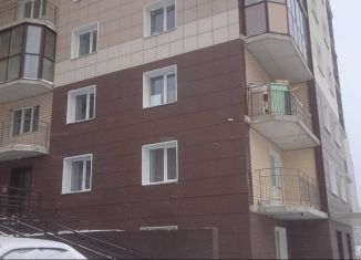 Продаю двухкомнатную квартиру, 63.9 м2, Новосибирск, улица Дуси Ковальчук, 244, метро Гагаринская