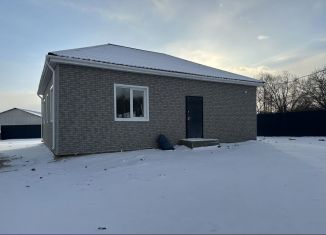 Продается дом, 60 м2, посёлок Вадимово, Амурская улица