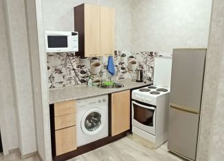 Сдаю 1-комнатную квартиру, 46 м2, Новосибирск, Бронная улица, 22, метро Студенческая