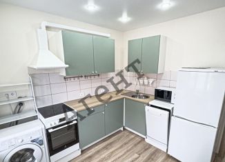 Сдача в аренду 2-ком. квартиры, 60 м2, село Михайловка, Сливовая улица, 16