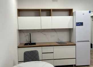 Сдаю в аренду квартиру студию, 26.8 м2, Люберцы, улица Лётчика Ларюшина, 6, ЖК Жулебино Парк