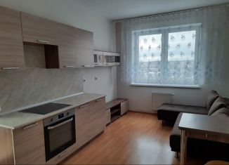 Сдается 1-комнатная квартира, 44 м2, Екатеринбург, улица Степана Разина, 107, улица Степана Разина