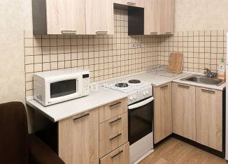 Продаю квартиру студию, 18.9 м2, рабочий посёлок Лопатино, Сухановская улица, 15, ЖК Государев Дом