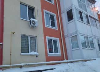 Продается 2-комнатная квартира, 48 м2, Ульяновская область, Камышинская улица, 89А