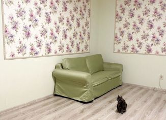 Сдается 2-ком. квартира, 56 м2, Краснодар, Душистая улица, 50, микрорайон Молодёжный