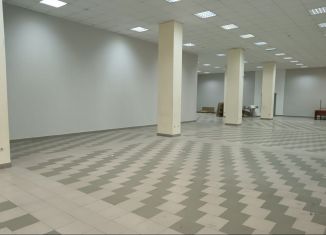 Сдается помещение свободного назначения, 237.8 м2, Казань, улица Сибирский Тракт, 34к4