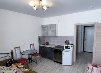 Сдам квартиру студию, 25 м2, Екатеринбург, Хрустальногорская улица, 93