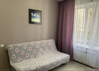 1-ком. квартира в аренду, 45 м2, Омск, улица Красный Путь, 149А