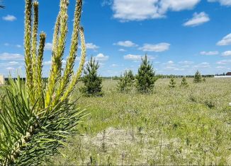 Продажа участка, 10.6 сот., село Перевалово, Благовещенская улица