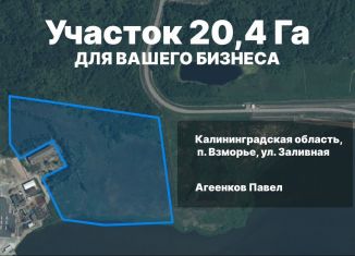 Продается участок, 2043 сот., Калининградская область, Песчаный переулок, 5