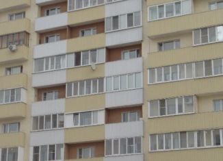 Квартира в аренду студия, 30.2 м2, Пензенская область, улица Чапаева, 71