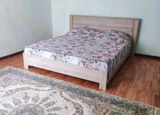 Сдача в аренду дома, 50 м2, Дербент, Строительная улица, 11