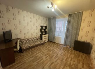 Сдаю в аренду 1-ком. квартиру, 42 м2, Пермь, Холмогорская улица, 4В, ЖК Авиатор