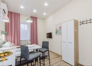 Сдается квартира студия, 18 м2, Татарстан, улица Габдуллы Тукая, 106А