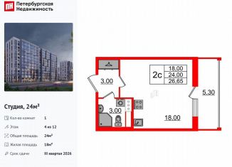 Квартира на продажу студия, 24 м2, Санкт-Петербург, муниципальный округ Коломяги