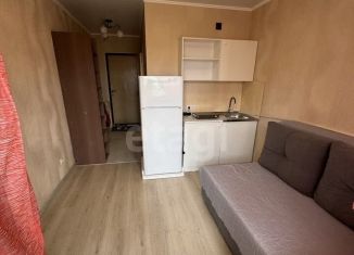 Аренда квартиры студии, 17 м2, Тюмень, улица Новосёлов, 115