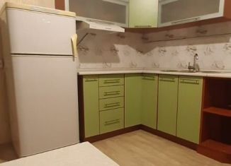 Сдаю 1-ком. квартиру, 40 м2, Новосибирская область, переулок Авиаторов, 3