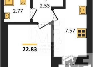 Продажа однокомнатной квартиры, 22.8 м2, Пионерский, улица Гептнера, 17