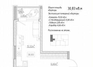 Продажа квартиры студии, 30.8 м2, село Засечное, Центральная улица, 15