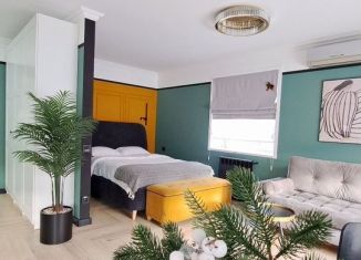 Сдача в аренду квартиры студии, 35 м2, Липецк, Советская улица, 47