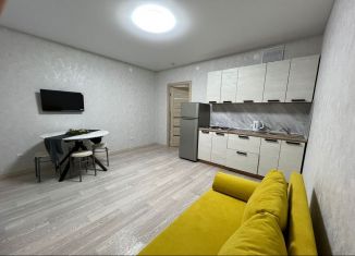 Сдаю квартиру студию, 30 м2, Татарстан, улица Марата Ахметшина, 4