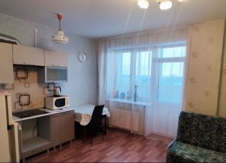 Продаю квартиру студию, 26.1 м2, Пермский край, улица 40-летия Победы, 10А