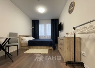 Квартира в аренду студия, 20 м2, Санкт-Петербург, Муринская дорога, 31к3, муниципальный округ Полюстрово