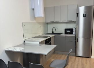 1-комнатная квартира в аренду, 32.1 м2, Люберцы, Некрасовский проезд, 11, ЖК Люберцы 2018