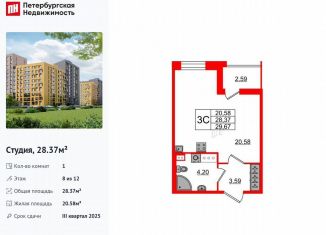 Продаю квартиру студию, 28.4 м2, Санкт-Петербург, метро Озерки