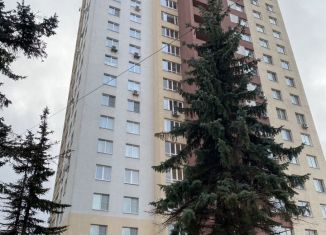 Продается двухкомнатная квартира, 82 м2, Нижегородская область, Краснозвёздная улица, 23