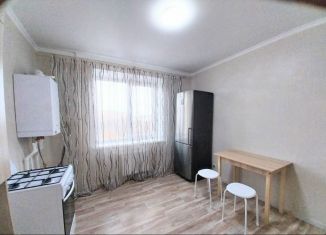 Сдается 1-ком. квартира, 44 м2, Железногорск, Курская улица, 76к3