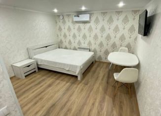 Аренда квартиры студии, 19 м2, Татарстан, улица Энергетиков, 3