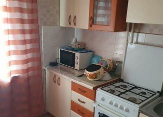 Трехкомнатная квартира в аренду, 60 м2, Бийск, переулок Владимира Мартьянова, 59