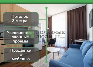 Продажа однокомнатной квартиры, 31 м2, Санкт-Петербург, Железнодорожный проспект, 14к1, муниципальный округ Ивановский