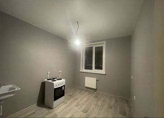 Сдается однокомнатная квартира, 39 м2, Пермь, улица Старцева, 143, ЖК Авиатор