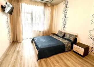 Сдам в аренду квартиру студию, 30 м2, Екатеринбург, улица Крестинского, 35, метро Ботаническая