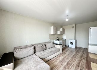 Сдаю квартиру студию, 26 м2, Ростов-на-Дону, Художественная улица, 22/17, ЖК Платовский