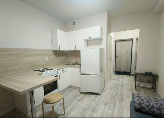 Сдам в аренду квартиру студию, 20 м2, Татарстан, улица Виктора Полякова, 9В