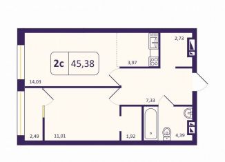 Продажа 1-ком. квартиры, 45.2 м2, Новосибирск