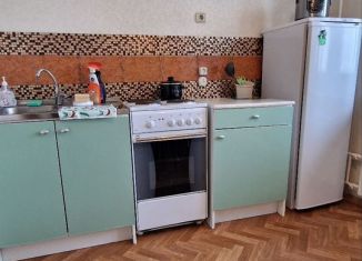 Сдача в аренду 2-комнатной квартиры, 53 м2, Колпино, Заводской проспект, 56