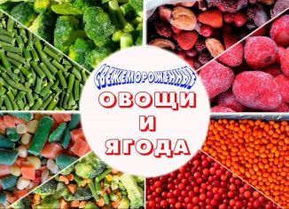 Машиноместо на продажу, Новосибирск, метро Берёзовая роща, улица Федосеева