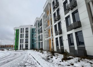 Однокомнатная квартира на продажу, 39 м2, деревня Раёво, Ирландская улица, 4к2