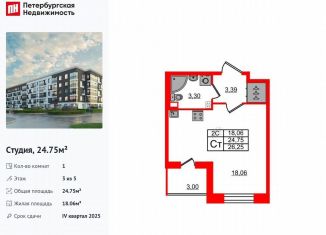 Продается квартира студия, 24.8 м2, Санкт-Петербург, муниципальный округ Пулковский Меридиан