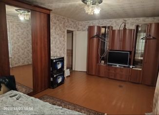 Продажа 1-комнатной квартиры, 40 м2, деревня Панино, Новая улица, 21