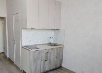 Продам квартиру студию, 25 м2, Новосибирск, улица Богдана Хмельницкого, 96/3, метро Заельцовская